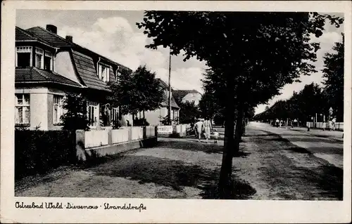 Ak Dziwnówek Wald Dievenow Pommern, Strandstraße