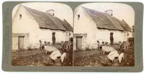 Stereo Foto County Kerry Irland, A Farm Yard on the Auld Sod, Bauernhaus, Tiere auf dem Hof