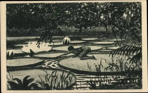 Jugendstil Künstler Ak Fidus, Victoria Regia, Kohledruck, Teichrosen