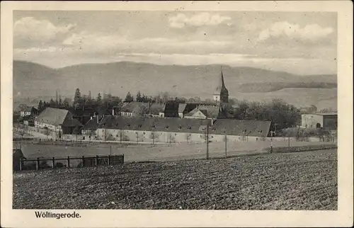 Ak Wöltingerode Vienenburg Goslar am Harz, Ortsansicht, Gutshof