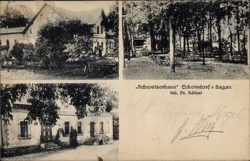 Ak Bożków Eckersdorf Schlesien, Schweizerhaus, Waldpartie