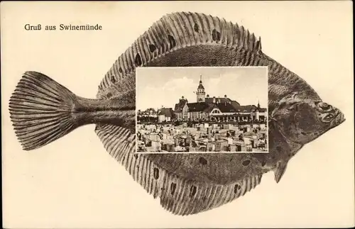 Ak Świnoujście Swinemünde Pommern, Fisch, Stadtansicht