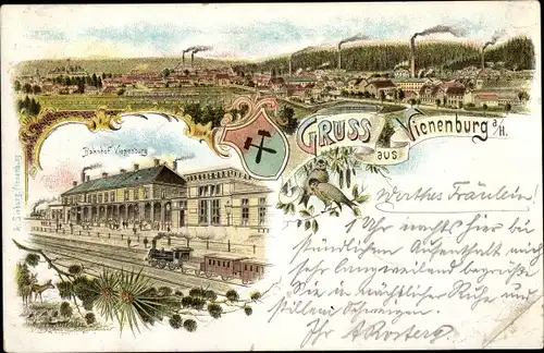 Litho Vienenburg Goslar am Harz, Blick auf den Ort, Bahnhof, Gleisseite