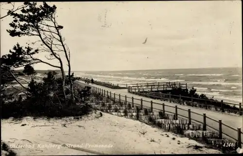 Ak Krynica Morska Kahlberg Ostpreußen, Strandpromenade