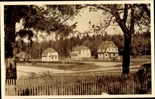 Foto Ak Friedrichsbrunn Thale im Harz, Ortspartie, Häuser am Waldrand