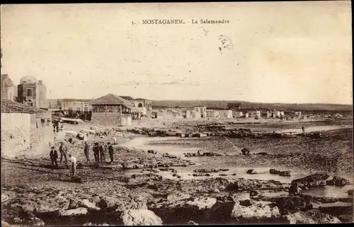 Ak Mostaganem Algerien, La Salamandre, Strandpartie, Häuser