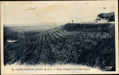 Ak Saint Aubin de Luigné Maine et Loire, Route d'Angers a la Haie Longue