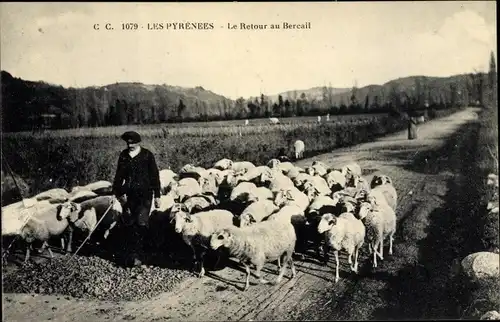Ak Les Pyrenees, le Retour au Bercail