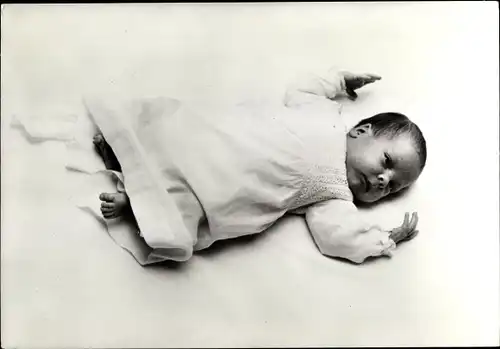 Ak Prinz Constantijn, Adel Niederlande