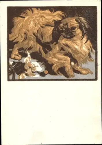 Künstler Ak von Bresslern Roth, Norbertine, Hund, Pekingese