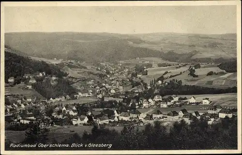 Ak Oberschlema Bad Schlema im Erzgebirge, Panorama vom Gleesberg aus gesehen