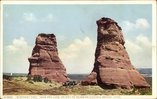 Ak Utah USA, Elefantenfüße in der Nähe des Red Lake