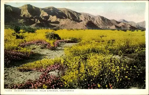 Ak Palm Springs, Kalifornien, USA, Wüstensonnenschein