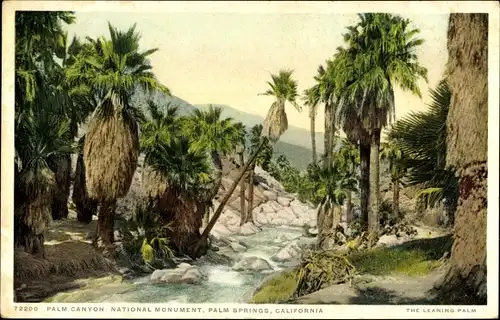 Ak Palm Springs Kalifornien USA, Palm Canyon National Monument