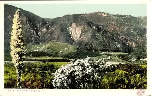 Ak Kalifornien USA, Pfeilspitze