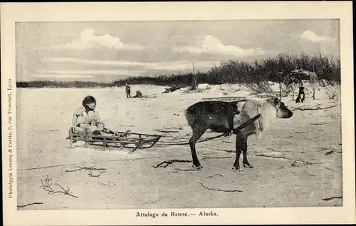 Ak Alaska USA, Rentierteam