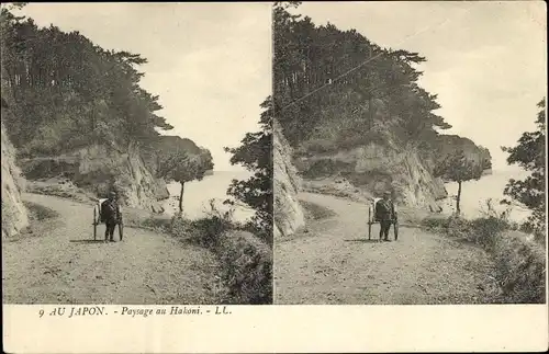 Stereo Ak Hakoni Präf. Kanagawa Japan, Wegpartie