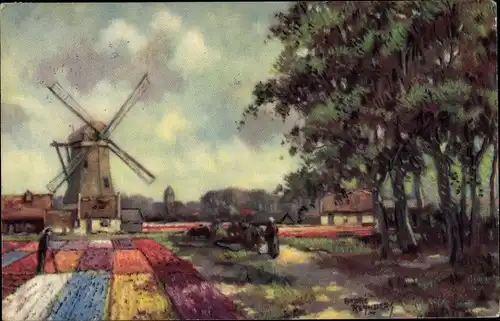 Künstler Ak Reynders, A., Niederländische Windmühle, Blumenfeld