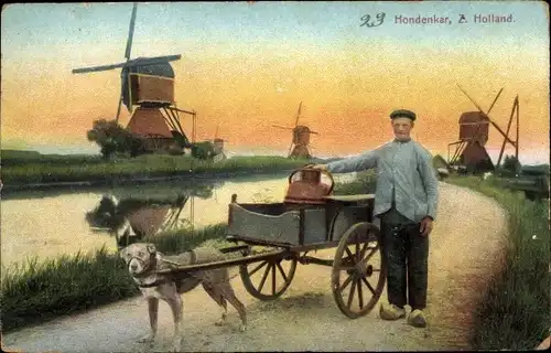 Ak Südholland, Hondenkar, Hundekarren, Windmühlen