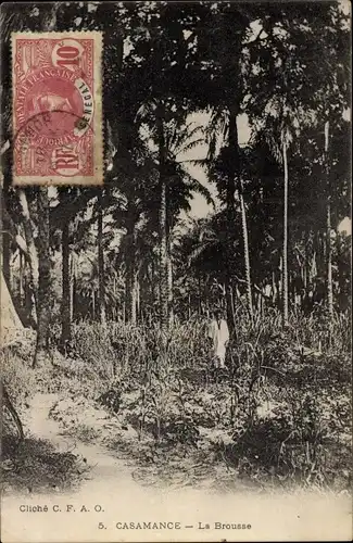 Ak Casamance Senegal, La Brousse