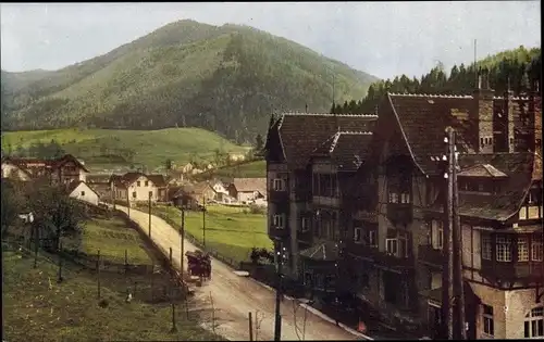 Ak Steinhaus am Semmering Steiermark, Teilansicht