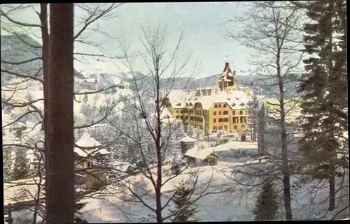 Ak Semmering in Niederösterreich, Hotel Erzherzog Johann im Winter