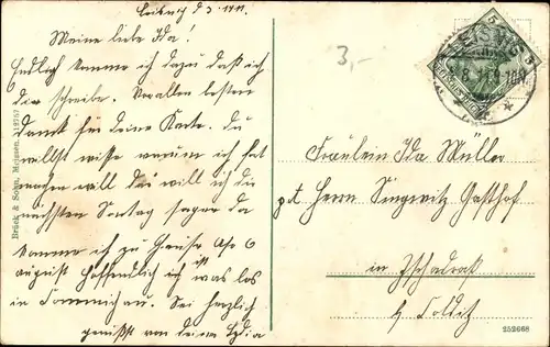 Ak Leisnig in Sachsen, Totalansicht