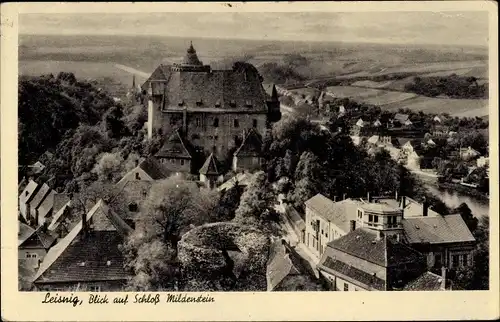 Ak Leisnig in Sachsen, Schloss Mildenstein