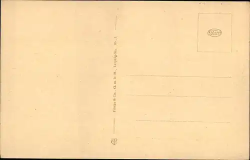 Ak Roßwein, Totalansicht