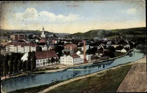 Ak Roßwein in Sachsen, Panorama