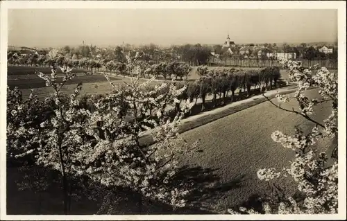 Ak Jahna Ostrau in Sachsen, Tausenjahr-Feier, Pfingsten 1929