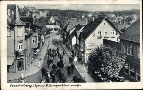 Ak Braunlage im Oberharz, Viehtrieb auf der Elbigeröder Straße