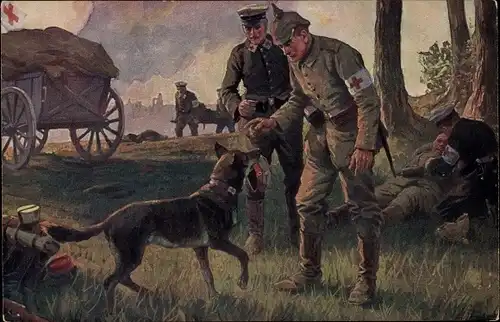 Künstler Ak Roloff, A., Ein treuer Helfer, Sanitätshund, Sanitäter, Rotes Kreuz, I WK