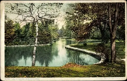 Ak Worcester Massachusetts USA, See im Elm Park