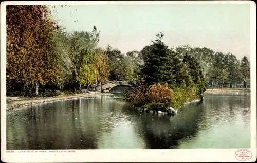 Ak Worcester Massachusetts USA, See im Elm Park