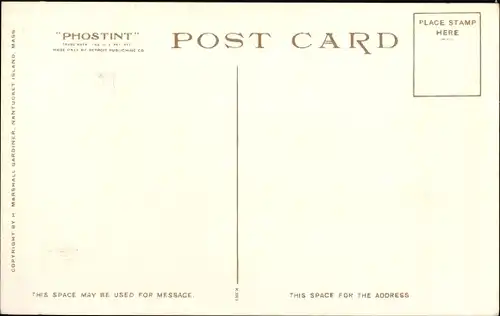 Ak Nantucket Massachusetts USA, Nantucket Hortensien