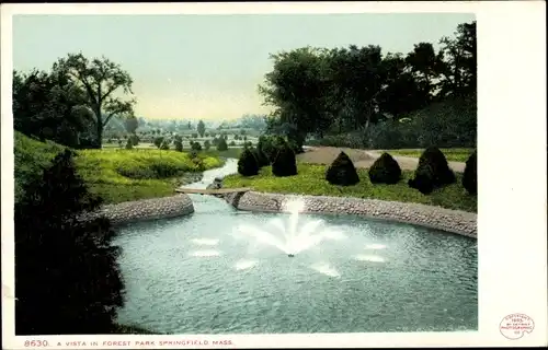 Ak Springfield Massachusetts USA, Forest Park