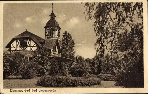 Ak Bad Liebenwerda in Brandenburg, Eisenmoorbad, Parkpartie