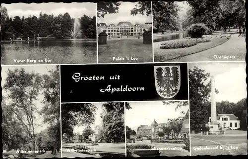 Ak Apeldoorn Gelderland, Oranjepark, Paleis 't Loo, Wilhelminapark, Gedenknaald, Julianaziekenhuis