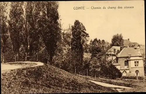 Ak Cointe Liège Lüttich, Chemin du champ des oiseaux