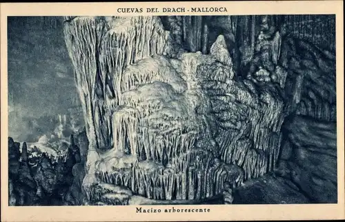 Ak Mallorca Balearen, Cuevas del Drach, Baummassiv