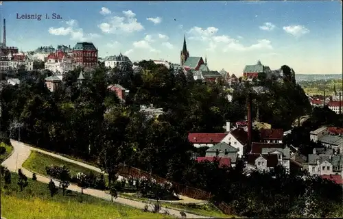 Ak Leisnig in Sachsen, Gesamtansicht