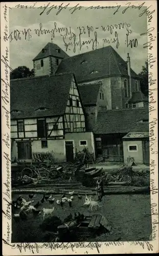 Ak Zschaitz Ottewig in Sachsen, Gutshof und Kirche, Tiere