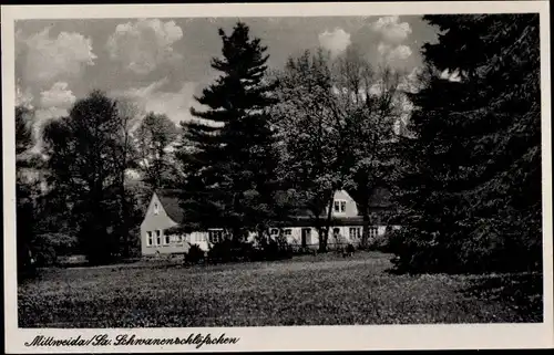 Ak Mittweida in Sachsen, Schwanenschlösschen