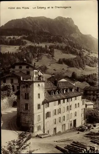 Ak Le Sepey Kanton Waadt, Hotel des Alpes, Le Chamossaire
