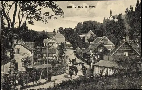 Ak Schierke Wernigerode Harz, Straßenansicht, Rinderherde, Viehtrieb