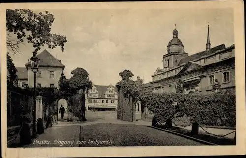 Ak Dessau in Sachsen Anhalt, Eingang zum Lustgarten