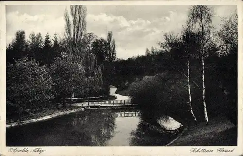 Ak Apolda in Thüringen, Schötener Grund