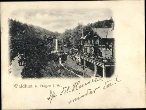 Ak Hagen in Westfalen, Waldlust