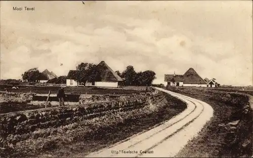 Ak Texel Nordholland Niederlande, Feldweg